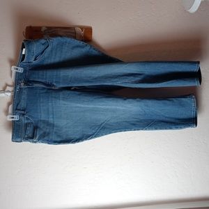 NWT Lee Woman's Petite Jeans